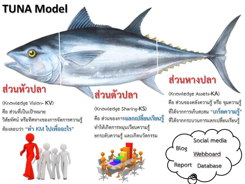 Tuna Model